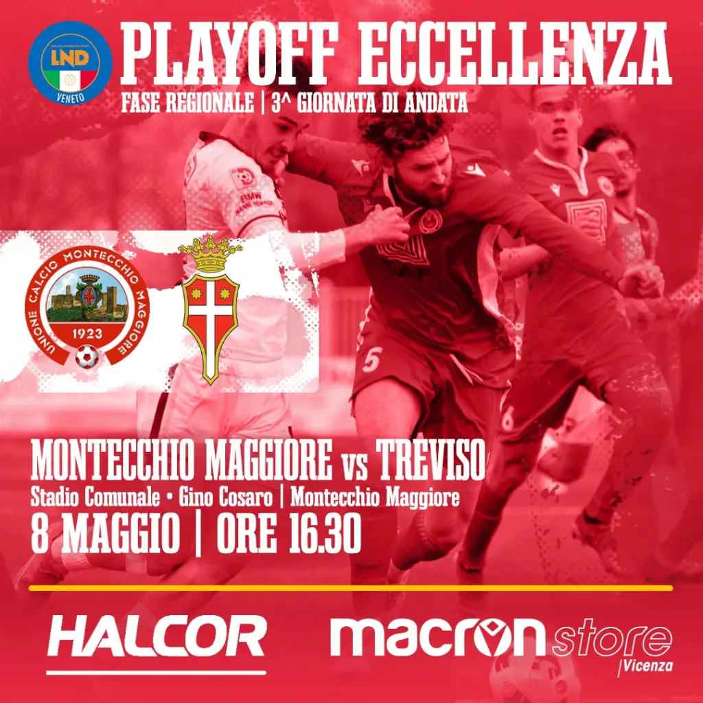 MONTECCHIO MAGGIORE-TREVISO (PLAY OFF ECCELLENZA)